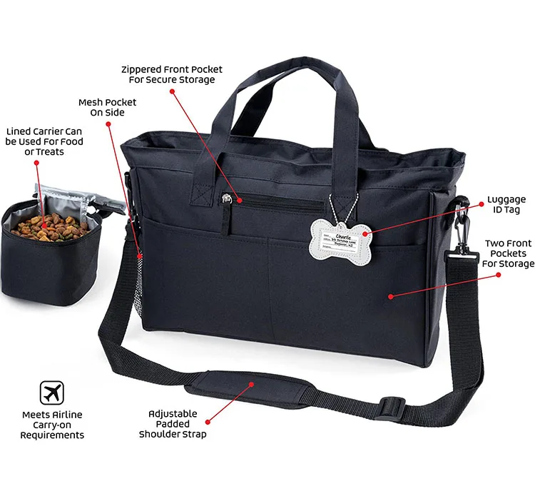 Pet College Bag: Student Style Sourcing Guide - detail view supplied by QUANZHOU JUNYUAN BAGS