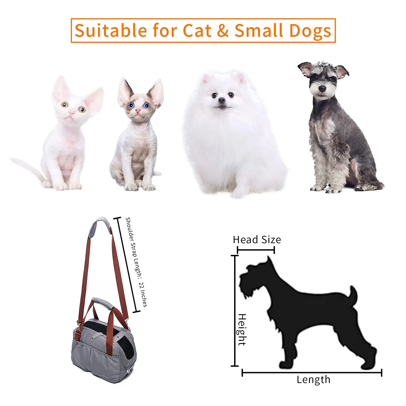 Pet Backpack with Wheels: Convertible Guide - detail view supplied by QUANZHOU JUNYUAN BAGS